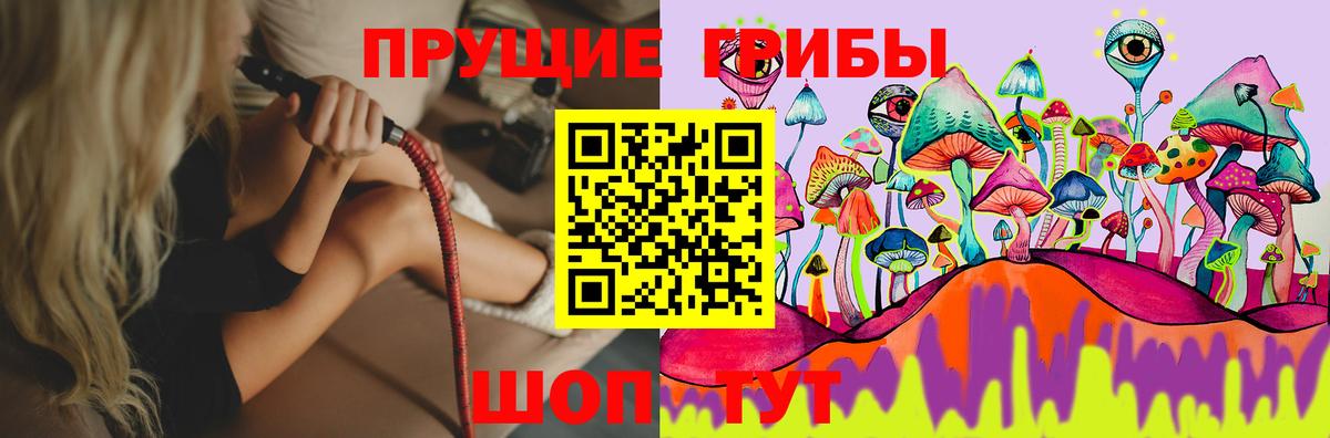 Псилоцибиновые грибы GOLDEN TEACHER Домодедово